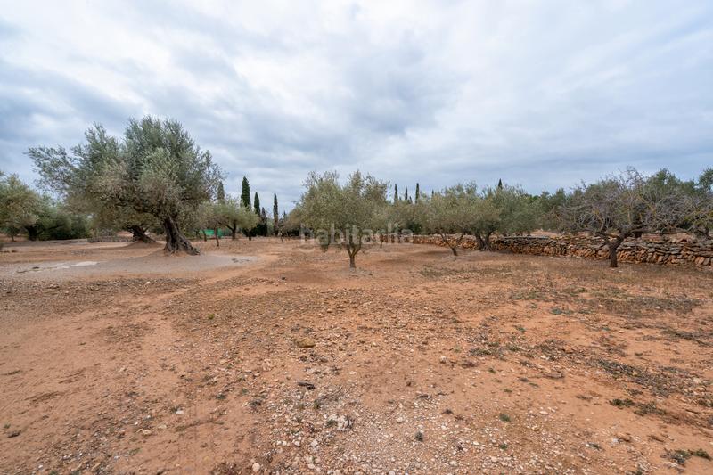 Foto b02a2df2-19e8-4db3-9386-8077ae1fd309. Finca rústica a vial camino 108 a Aldover Foto b02a2df2-19e8-4db3-9386-8077ae1fd309. Finca rústica a vial camino 108 a Aldover