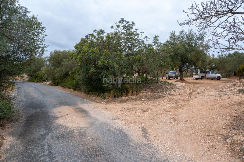 Foto b2fe1fac-8f46-418f-ba47-915517610014. Finca rústica a vial camino 108 a Aldover Foto b2fe1fac-8f46-418f-ba47-915517610014. Finca rústica a vial camino 108 a Aldover
