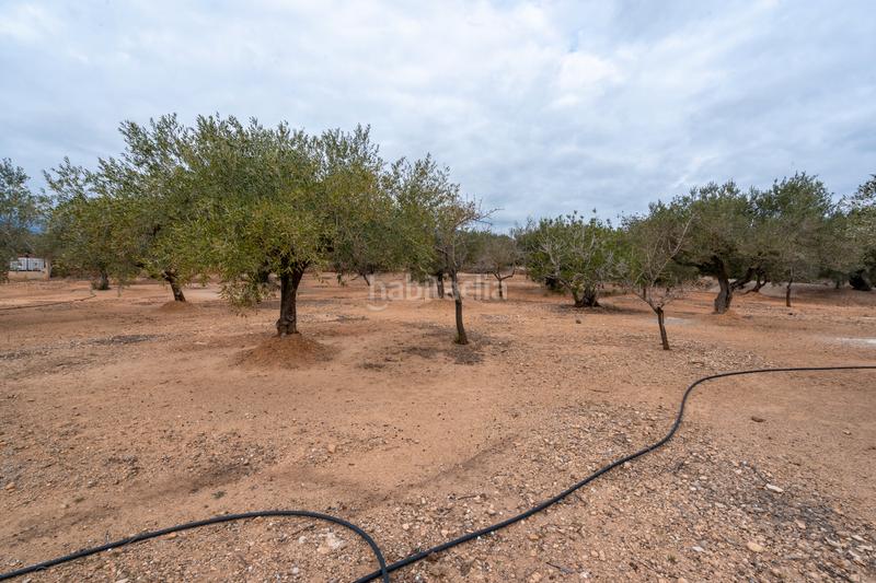Foto cc380f56-2b85-4e2e-a575-9bbda0557a71. Finca rústica a vial camino 108 a Aldover Foto cc380f56-2b85-4e2e-a575-9bbda0557a71. Finca rústica a vial camino 108 a Aldover