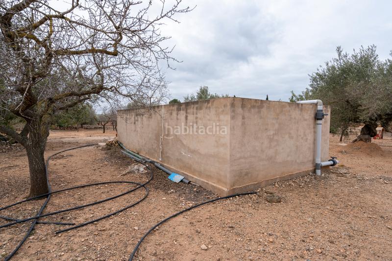 Foto f2ba8865-3c2b-4fc6-b714-9de62886e750. Finca rústica a vial camino 108 a Aldover Foto f2ba8865-3c2b-4fc6-b714-9de62886e750. Finca rústica a vial camino 108 a Aldover
