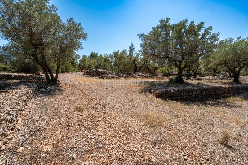 Foto 97bd7268-5896-49ba-8ad7-60ce3f5378fd. Finca rústica a Galera (La) Foto 97bd7268-5896-49ba-8ad7-60ce3f5378fd. Finca rústica a Galera (La)