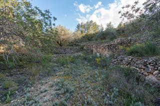 Rural plot in Avinguda generalitat 34. Finca rústica de olivos con una ruina en tivenys Rural plot in Avinguda generalitat 34. Finca rústica de olivos con una ruina en tivenys