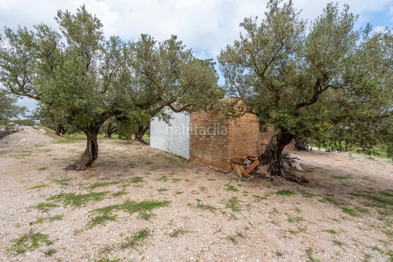 Foto 1fccc020-5ea3-4699-b95c-cff17ca9d71a. Finca rústica a n/a a Roquetes Foto 1fccc020-5ea3-4699-b95c-cff17ca9d71a. Finca rústica a n/a a Roquetes