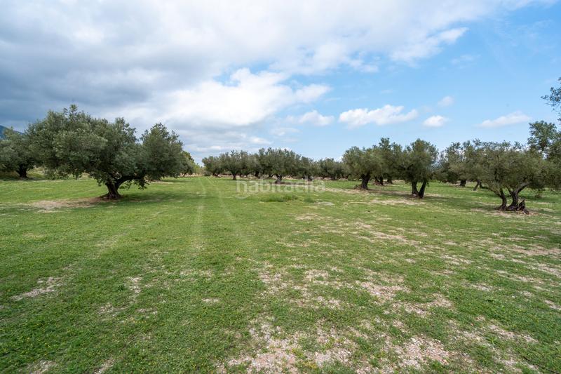 Foto 5fafe687-fb90-41b1-a2ca-9fb59f5851e9. Finca rústica a n/a a Roquetes Foto 5fafe687-fb90-41b1-a2ca-9fb59f5851e9. Finca rústica a n/a a Roquetes