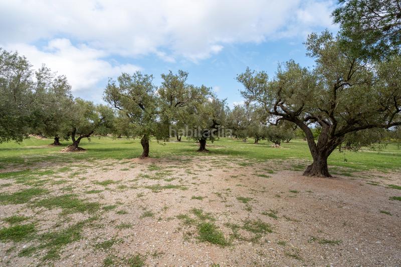 Foto e658873d-4981-4258-b5fe-878ce71d6b17. Finca rústica a n/a a Roquetes Foto e658873d-4981-4258-b5fe-878ce71d6b17. Finca rústica a n/a a Roquetes