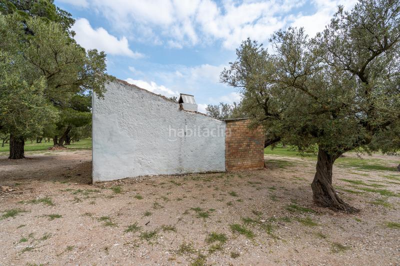 Foto f71c28e9-4769-44f1-b972-b75c81c852d5. Finca rústica a n/a a Roquetes Foto f71c28e9-4769-44f1-b972-b75c81c852d5. Finca rústica a n/a a Roquetes