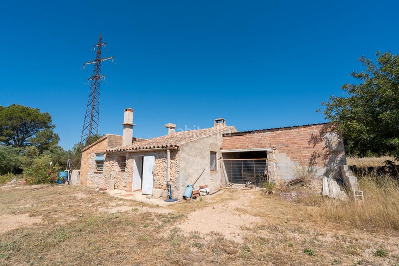 Foto 17a3a3c0-8c4f-4a17-b5fa-12021ce4e854. Finca rústica a camí de l'ardiaca 106 a Urbanitzacions Tortosa Foto 17a3a3c0-8c4f-4a17-b5fa-12021ce4e854. Finca rústica a camí de l'ardiaca 106 a Urbanitzacions Tortosa
