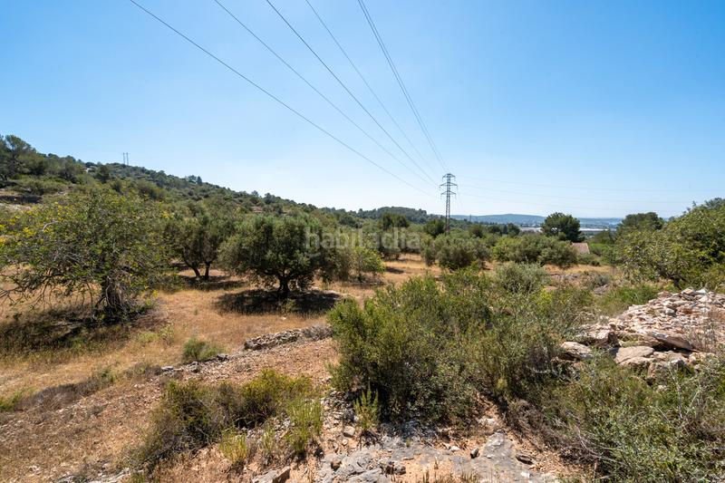 Foto 1eed4f59-4f91-4c69-b9a0-5852fd526eef. Finca rústica a camí de l'ardiaca 106 a Urbanitzacions Tortosa Foto 1eed4f59-4f91-4c69-b9a0-5852fd526eef. Finca rústica a camí de l'ardiaca 106 a Urbanitzacions Tortosa