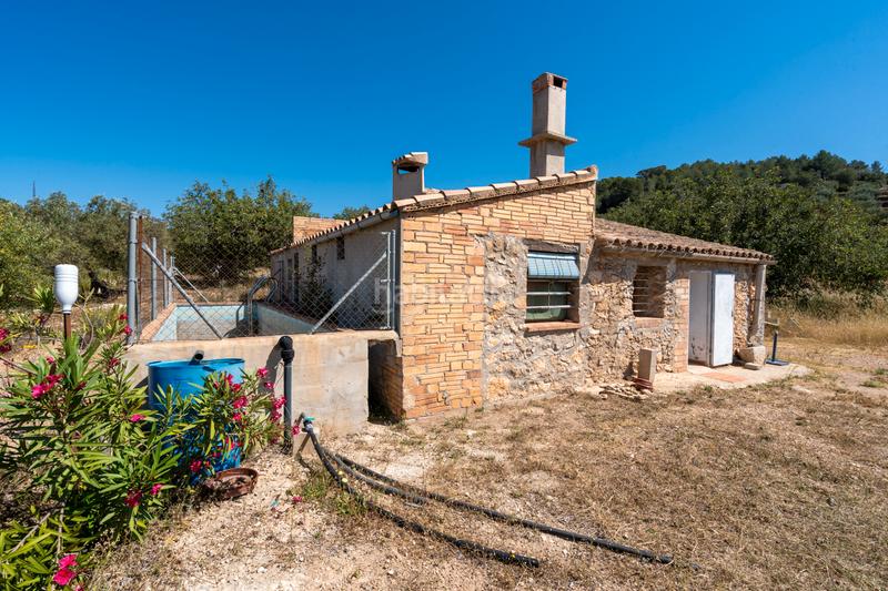 Foto 286dd2ef-1f2b-4f87-b967-8e8978a9c50d. Finca rústica a camí de l'ardiaca 106 a Urbanitzacions Tortosa Foto 286dd2ef-1f2b-4f87-b967-8e8978a9c50d. Finca rústica a camí de l'ardiaca 106 a Urbanitzacions Tortosa