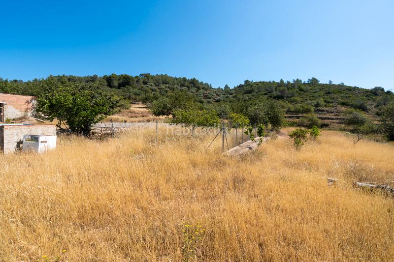 Foto 2bffd49a-59b6-4f05-8927-cfd3664bc363. Finca rústica a camí de l'ardiaca 106 a Urbanitzacions Tortosa Foto 2bffd49a-59b6-4f05-8927-cfd3664bc363. Finca rústica a camí de l'ardiaca 106 a Urbanitzacions Tortosa