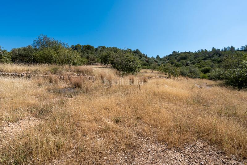 Foto 3fab4304-be17-45b8-81ff-e4afeb68b711. Finca rústica a camí de l'ardiaca 106 a Urbanitzacions Tortosa Foto 3fab4304-be17-45b8-81ff-e4afeb68b711. Finca rústica a camí de l'ardiaca 106 a Urbanitzacions Tortosa