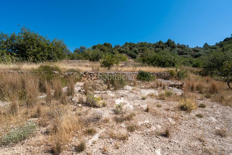 Foto 4d38b58a-1611-4d1f-94a3-ecce446b3965. Finca rústica a camí de l'ardiaca 106 a Urbanitzacions Tortosa Foto 4d38b58a-1611-4d1f-94a3-ecce446b3965. Finca rústica a camí de l'ardiaca 106 a Urbanitzacions Tortosa