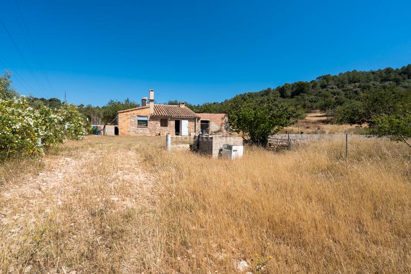 Foto 558a20e0-7d34-4739-a067-fe5125f68064. Finca rústica a camí de l'ardiaca 106 a Urbanitzacions Tortosa Foto 558a20e0-7d34-4739-a067-fe5125f68064. Finca rústica a camí de l'ardiaca 106 a Urbanitzacions Tortosa