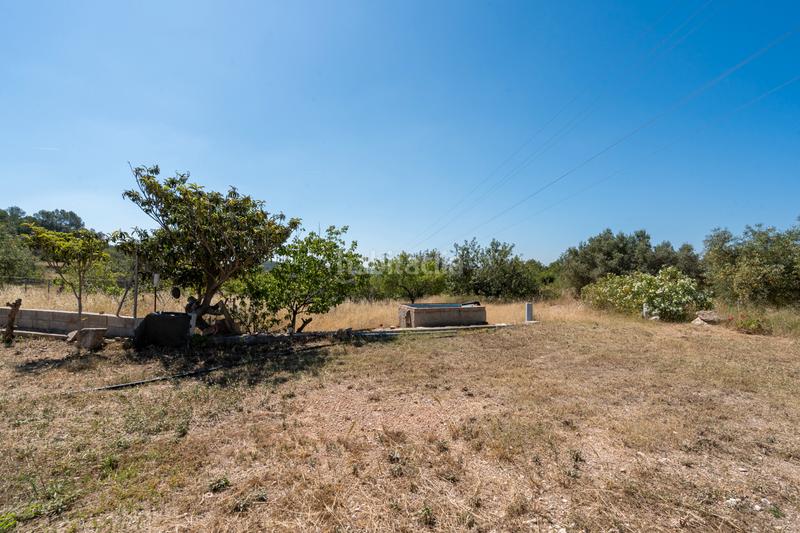 Foto 56e179cd-8cd5-479d-9370-a82a704f0d45. Finca rústica a camí de l'ardiaca 106 a Urbanitzacions Tortosa Foto 56e179cd-8cd5-479d-9370-a82a704f0d45. Finca rústica a camí de l'ardiaca 106 a Urbanitzacions Tortosa