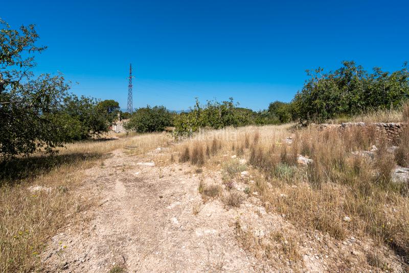 Foto 59cfccd8-efa4-4c82-a0ea-9664210faddb. Finca rústica a camí de l'ardiaca 106 a Urbanitzacions Tortosa Foto 59cfccd8-efa4-4c82-a0ea-9664210faddb. Finca rústica a camí de l'ardiaca 106 a Urbanitzacions Tortosa