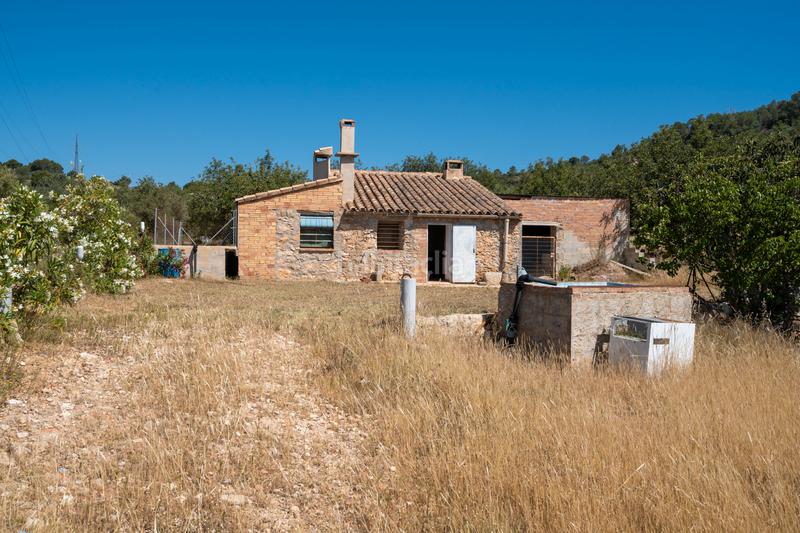 Foto 5b1120cb-eaba-471e-8264-876c76690be5. Finca rústica a camí de l'ardiaca 106 a Urbanitzacions Tortosa Foto 5b1120cb-eaba-471e-8264-876c76690be5. Finca rústica a camí de l'ardiaca 106 a Urbanitzacions Tortosa