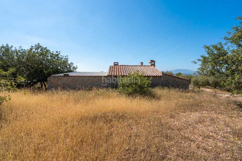 Foto 7e34efe3-0b60-43f5-9b0e-77c068c4ff07. Finca rústica a camí de l'ardiaca 106 a Urbanitzacions Tortosa Foto 7e34efe3-0b60-43f5-9b0e-77c068c4ff07. Finca rústica a camí de l'ardiaca 106 a Urbanitzacions Tortosa