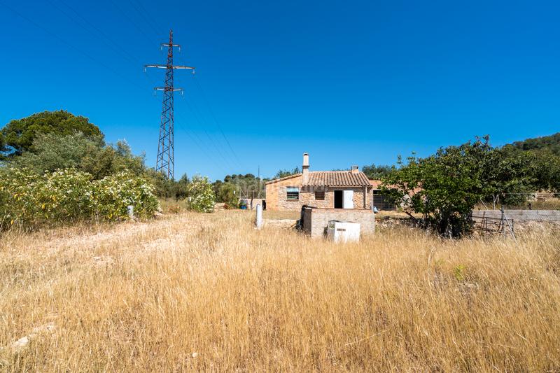 Foto 9c5d8fc0-7d83-4e8f-9763-e5a98079c276. Finca rústica a camí de l'ardiaca 106 a Urbanitzacions Tortosa Foto 9c5d8fc0-7d83-4e8f-9763-e5a98079c276. Finca rústica a camí de l'ardiaca 106 a Urbanitzacions Tortosa
