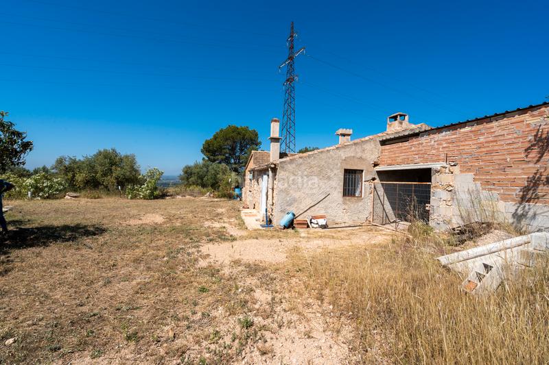 Foto a18a7727-47d4-4a69-97a5-06ca5b112228. Finca rústica a camí de l'ardiaca 106 a Urbanitzacions Tortosa Foto a18a7727-47d4-4a69-97a5-06ca5b112228. Finca rústica a camí de l'ardiaca 106 a Urbanitzacions Tortosa