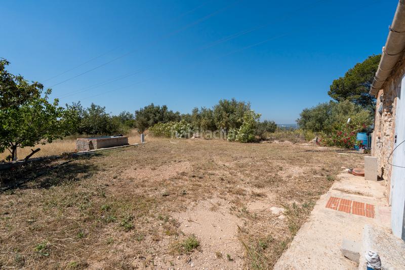 Foto a9405d89-ee65-4ea8-9239-081e7394777b. Finca rústica a camí de l'ardiaca 106 a Urbanitzacions Tortosa Foto a9405d89-ee65-4ea8-9239-081e7394777b. Finca rústica a camí de l'ardiaca 106 a Urbanitzacions Tortosa