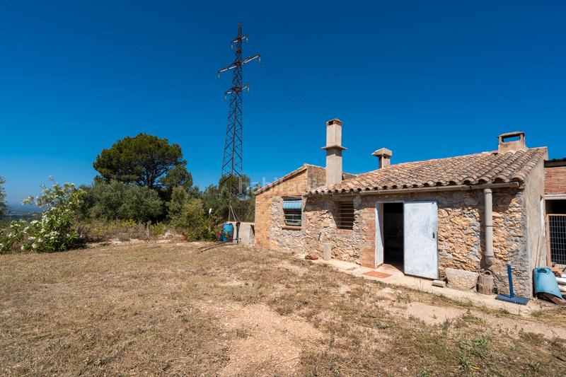 Foto ce5ee44c-15f9-4314-abac-609c73520183. Finca rústica a camí de l'ardiaca 106 a Urbanitzacions Tortosa Foto ce5ee44c-15f9-4314-abac-609c73520183. Finca rústica a camí de l'ardiaca 106 a Urbanitzacions Tortosa