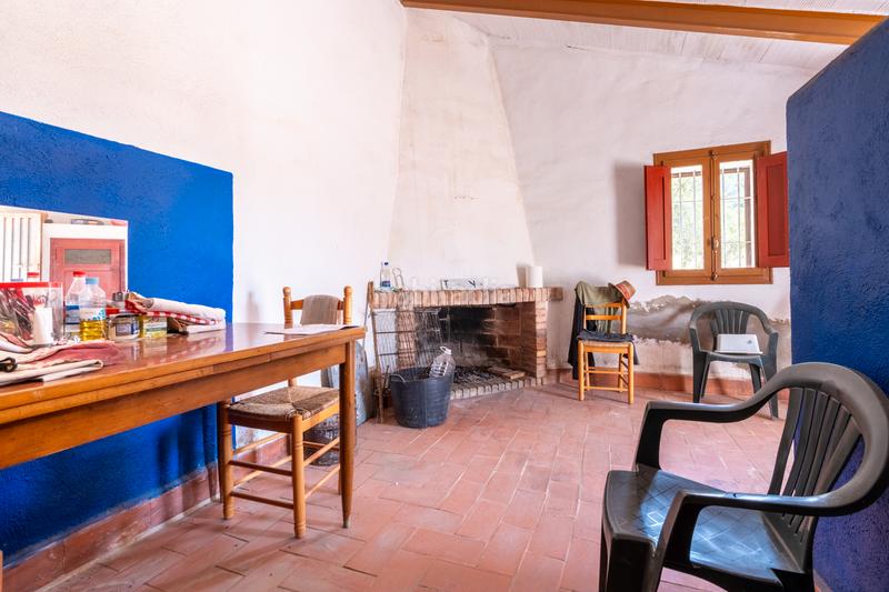 Foto d0cb3efb-3db6-473e-984a-8a79ce43c98c. Finca rústica a camí de l'ardiaca 106 a Urbanitzacions Tortosa Foto d0cb3efb-3db6-473e-984a-8a79ce43c98c. Finca rústica a camí de l'ardiaca 106 a Urbanitzacions Tortosa