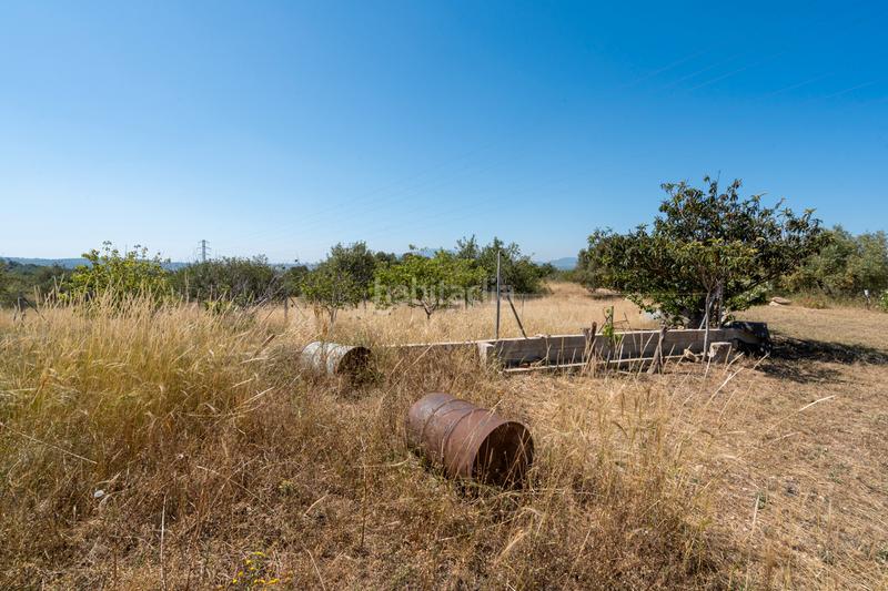 Foto df727c1e-aaaa-4604-aa8f-f7a063aed1e6. Finca rústica a camí de l'ardiaca 106 a Urbanitzacions Tortosa Foto df727c1e-aaaa-4604-aa8f-f7a063aed1e6. Finca rústica a camí de l'ardiaca 106 a Urbanitzacions Tortosa