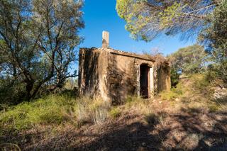 Rural plot in Camí de la potra de pino 28. Finca rústica en lo alto de la colina con dos casitas de aperos Rural plot in Camí de la potra de pino 28. Finca rústica en lo alto de la colina con dos casitas de aperos
