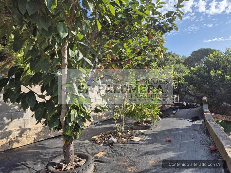 Foto 71c42ef5-b45c-4363-8d50-0f75ea36fdf0. Casa amb piscina a Mas Mora-Sant Daniel Tordera Foto 71c42ef5-b45c-4363-8d50-0f75ea36fdf0. Casa amb piscina a Mas Mora-Sant Daniel Tordera