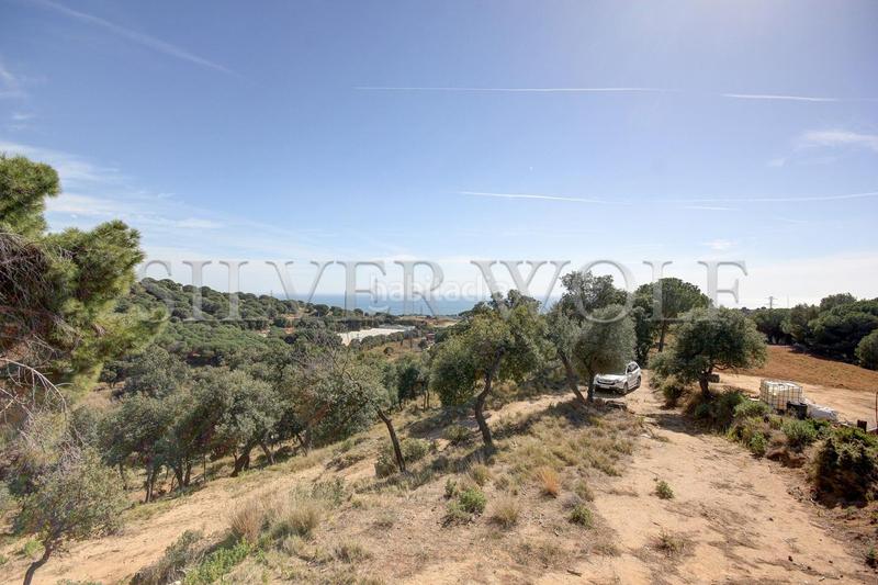 Foto 49ad081c-b60d-45e2-b9a5-f0e7951c6603. Propriété dans Urbanitzacions Mataró Foto 49ad081c-b60d-45e2-b9a5-f0e7951c6603. Propriété dans Urbanitzacions Mataró