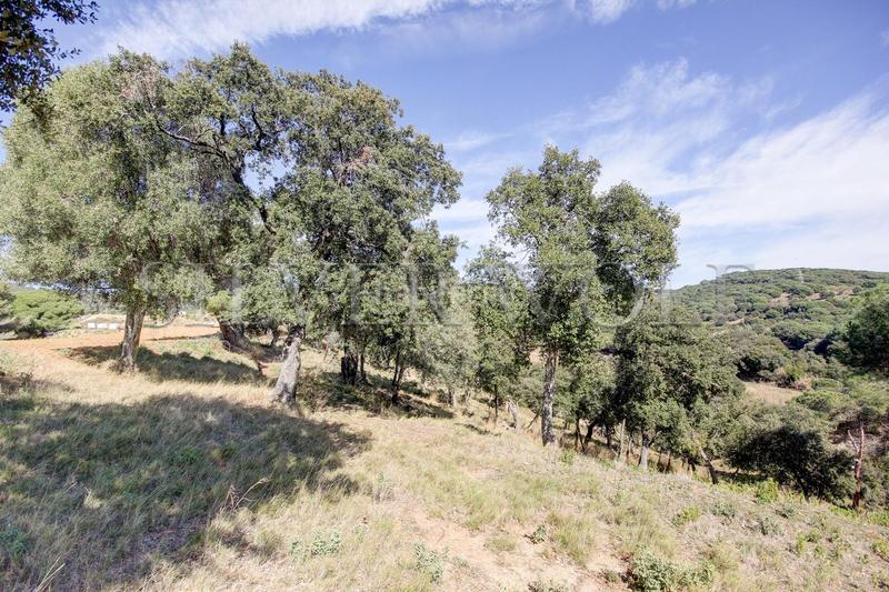 Foto 514e0c58-01df-48d8-9035-99072c686ef7. Propriété dans Urbanitzacions Mataró Foto 514e0c58-01df-48d8-9035-99072c686ef7. Propriété dans Urbanitzacions Mataró