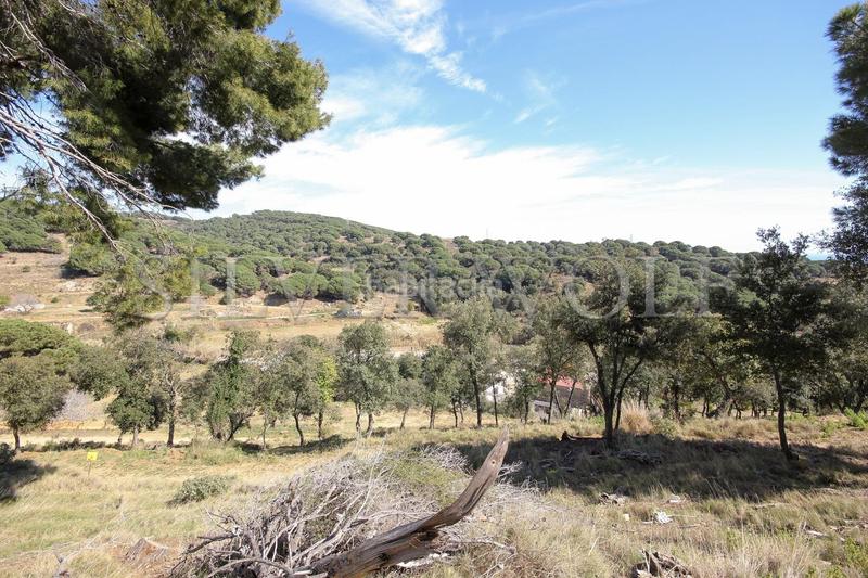 Foto 7a4ede8f-f27d-4ac8-9ce3-ae069c2cd4ab. Propriété dans Urbanitzacions Mataró Foto 7a4ede8f-f27d-4ac8-9ce3-ae069c2cd4ab. Propriété dans Urbanitzacions Mataró