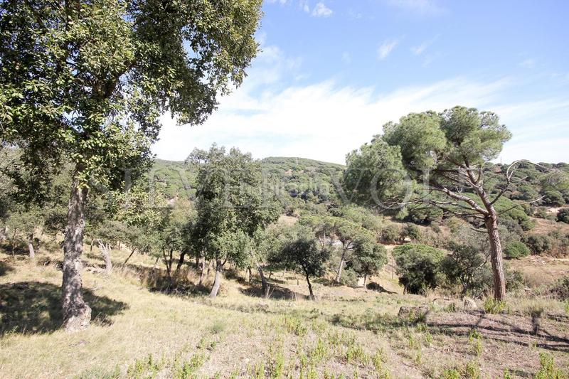 Foto 959681f9-0ff6-43cc-9af2-ebaeeeb0bf26. Propriété dans Urbanitzacions Mataró Foto 959681f9-0ff6-43cc-9af2-ebaeeeb0bf26. Propriété dans Urbanitzacions Mataró