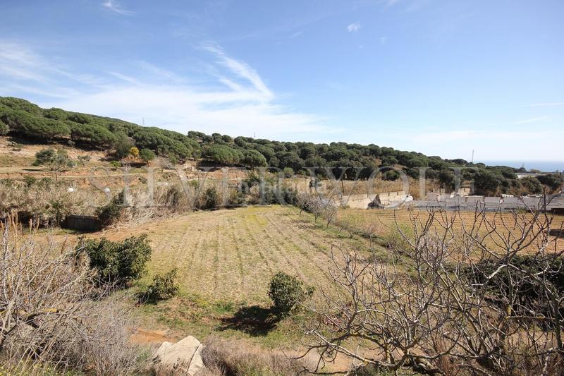 Foto b9c76159-8440-4ec3-b04c-bc814d516d4d. Propriété dans Urbanitzacions Mataró Foto b9c76159-8440-4ec3-b04c-bc814d516d4d. Propriété dans Urbanitzacions Mataró