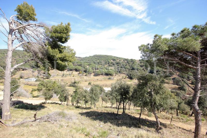 Foto cfddf1c6-9c23-4013-8de0-e930e5f9d06a. Propriété dans Urbanitzacions Mataró Foto cfddf1c6-9c23-4013-8de0-e930e5f9d06a. Propriété dans Urbanitzacions Mataró