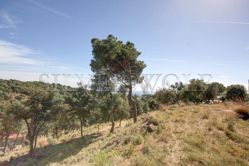 Foto ee69a1ea-768b-45aa-bd4b-6a7ced9ca787. Propriété dans Urbanitzacions Mataró Foto ee69a1ea-768b-45aa-bd4b-6a7ced9ca787. Propriété dans Urbanitzacions Mataró