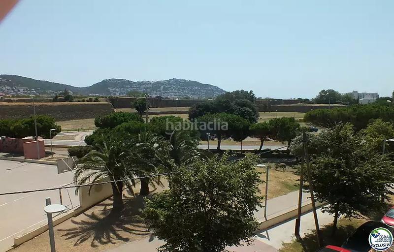 Foto ce282c97-4504-4389-bb4d-07d986b817a7. Pis a Salatar Roses Foto ce282c97-4504-4389-bb4d-07d986b817a7. Pis a Salatar Roses