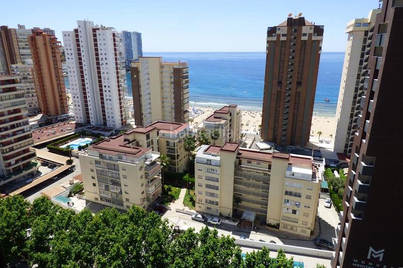 Foto d464faf5-5567-47ca-98b8-031c7456d84e. Estudi amb piscina a Playa Levante Benidorm Foto d464faf5-5567-47ca-98b8-031c7456d84e. Estudi amb piscina a Playa Levante Benidorm