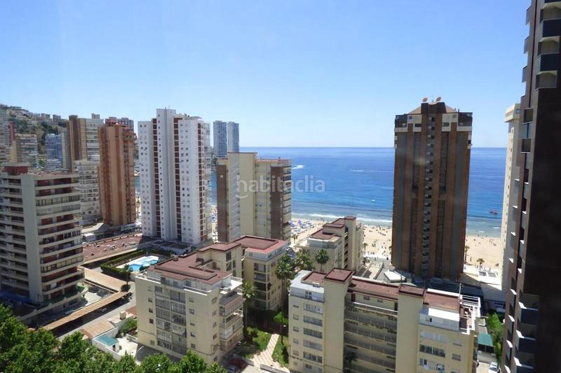 Foto e51d73f4-d780-49f3-b431-b3740940c76a. Estudi amb piscina a Playa Levante Benidorm Foto e51d73f4-d780-49f3-b431-b3740940c76a. Estudi amb piscina a Playa Levante Benidorm