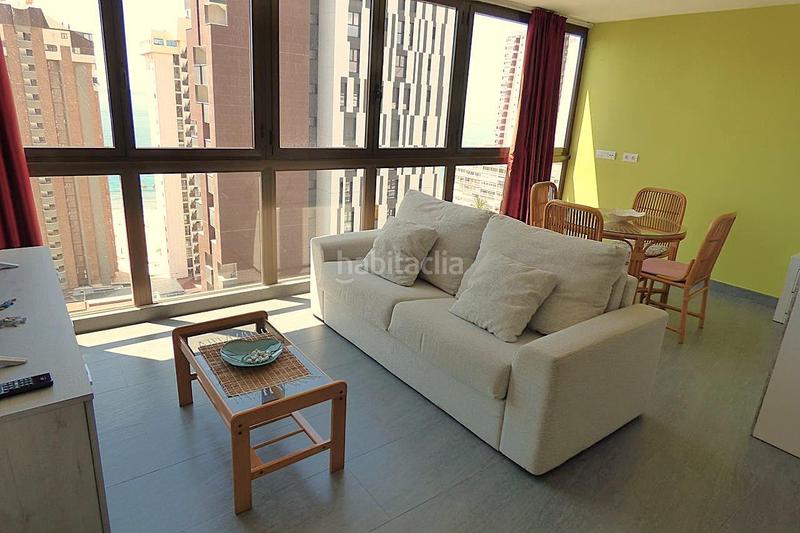 Foto ea5b28ed-7348-4544-9ca6-281aa205e854. Estudi amb piscina a Playa Levante Benidorm Foto ea5b28ed-7348-4544-9ca6-281aa205e854. Estudi amb piscina a Playa Levante Benidorm