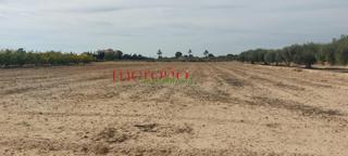 Terreny residencial a Centro. Parcela maitino Terreny residencial a Centro. Parcela maitino