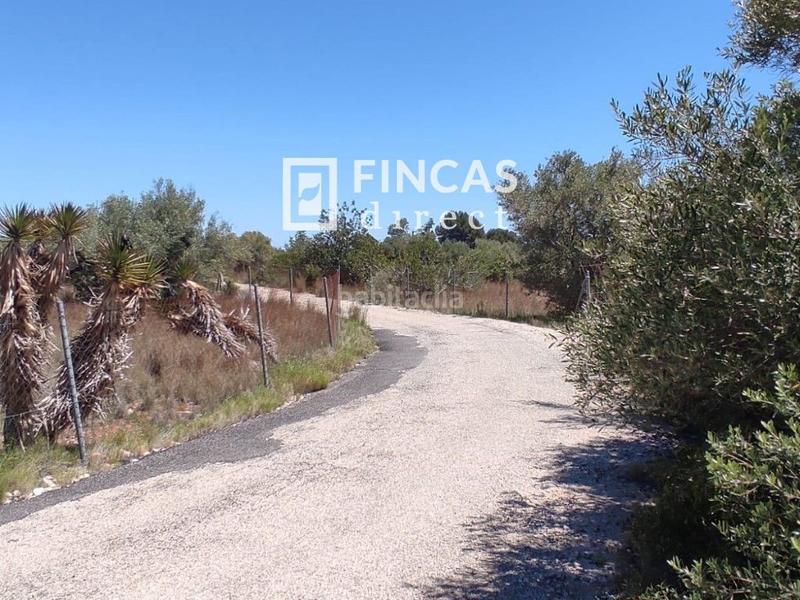 Foto a0bc3498-68a4-437f-8d51-494f0e220c07. Finca rústica a L´Ametlla de Mar Ametlla de Mar (L´) Foto a0bc3498-68a4-437f-8d51-494f0e220c07. Finca rústica a L´Ametlla de Mar Ametlla de Mar (L´)