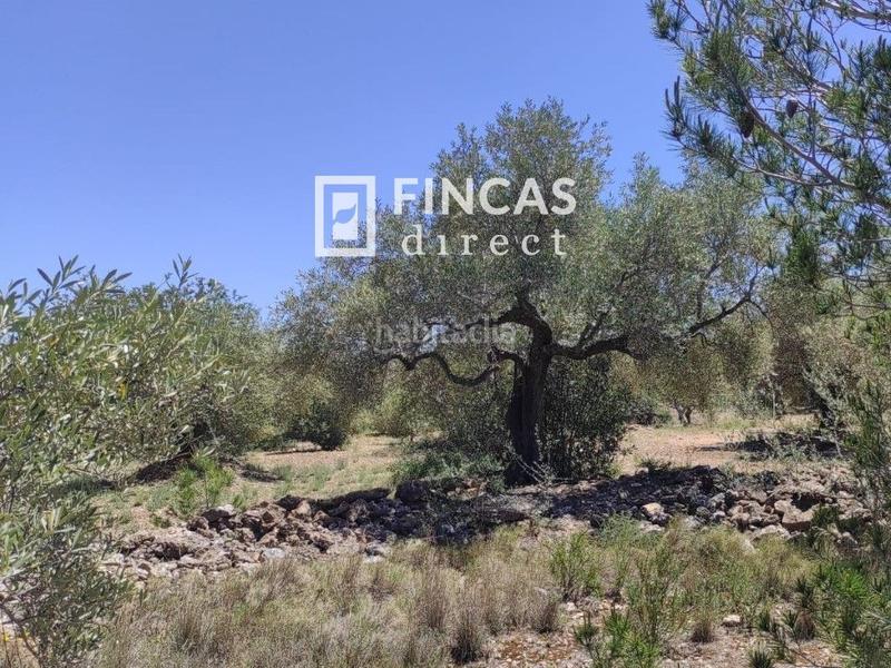 Foto eab711eb-6a38-4885-bf3c-48386705a114. Finca rústica a L´Ametlla de Mar Ametlla de Mar (L´) Foto eab711eb-6a38-4885-bf3c-48386705a114. Finca rústica a L´Ametlla de Mar Ametlla de Mar (L´)
