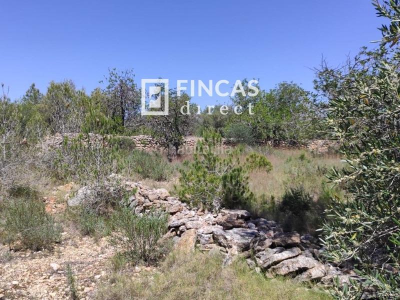 Foto f58903e8-f51e-4557-a7a8-2735fbc91167. Finca rústica a L´Ametlla de Mar Ametlla de Mar (L´) Foto f58903e8-f51e-4557-a7a8-2735fbc91167. Finca rústica a L´Ametlla de Mar Ametlla de Mar (L´)