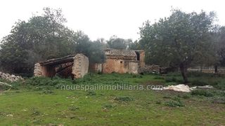 Propriété Poligono 3. Finca rustica lloret, edificable Propriété Poligono 3. Finca rustica lloret, edificable