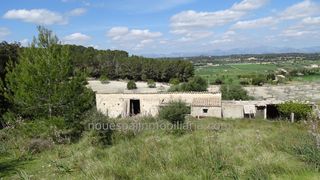 Finca rústica Lloret de vistalegre, 1. Finca 75.000 m2 lloret de vistal Finca rústica Lloret de vistalegre, 1. Finca 75.000 m2 lloret de vistal