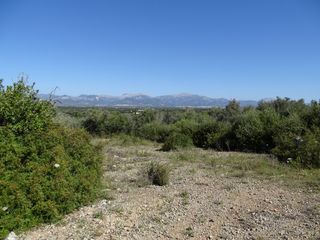 Landgut Afueras, 1. Finca edificable vistas, costitx Landgut Afueras, 1. Finca edificable vistas, costitx