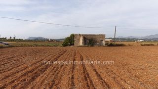 Rural plot Sa pobla alcudia. Finca rustica edificable sa pobl Rural plot Sa pobla alcudia. Finca rustica edificable sa pobl