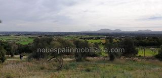 Landgut Santa eugenia. Finca edificable santa eugenia Landgut Santa eugenia. Finca edificable santa eugenia