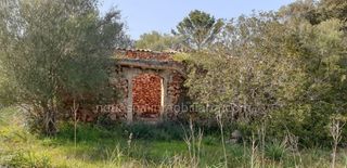 Finca rústica Llubi. Finca rustica llubi Finca rústica Llubi. Finca rustica llubi